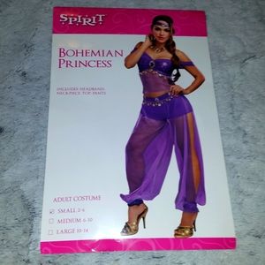 Bohemian Princess Jasmine Belly Dancer Genie Costume Purple Size Small